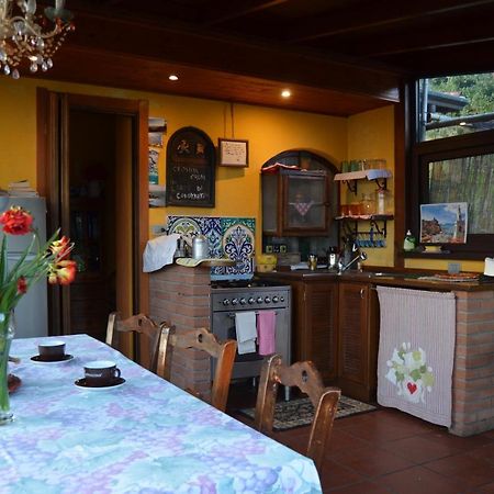 PitelliLa Pineta住宿加早餐旅馆 外观 照片