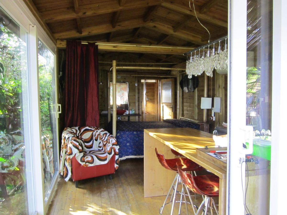 PitelliLa Pineta住宿加早餐旅馆 外观 照片