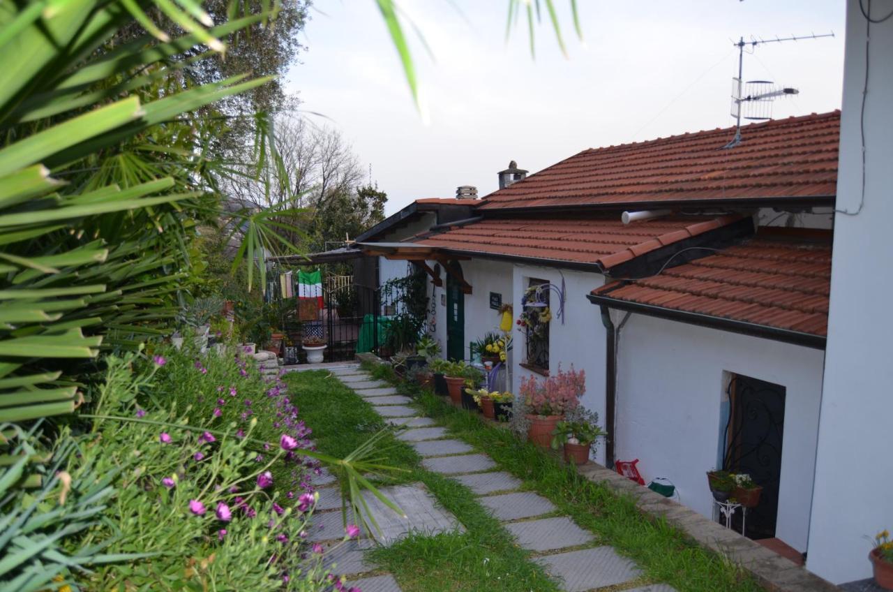 PitelliLa Pineta住宿加早餐旅馆 外观 照片